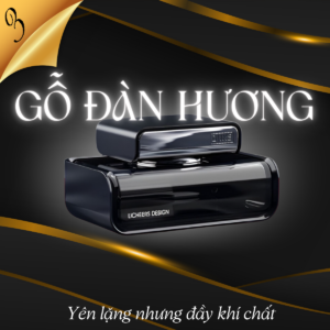 Khử mùi ô tô với hương gỗ đàn hương mang lại sự sang trọng và khí chất riêng biệt. Hình ảnh sản phẩm cao cấp thể hiện phong cách tinh tế. Top Garage cung cấp giải pháp khử mùi giúp xe không chỉ sạch mà còn đậm chất cá nhân.